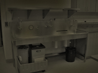 Image of Darkroom tray processing sink in simulated darkroom lighting conditions